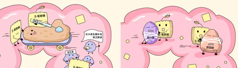 这 2 种燕麦热量巨高，别买了！真能抵御长胖的是它