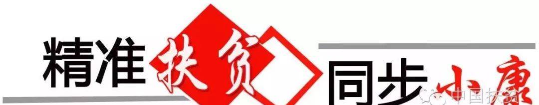 「脱贫攻坚」脱贫攻坚工作存在哪些突出问题？如何避免数字脱贫、突击脱贫……听听国务院扶贫办副主任欧青平怎么说