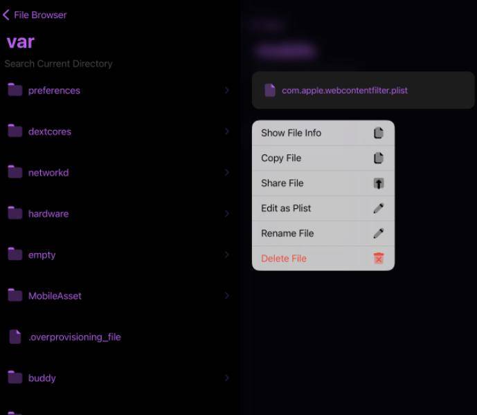 iOS 16.5 PureKFD 4.1 已发布,文件管理器稳定了