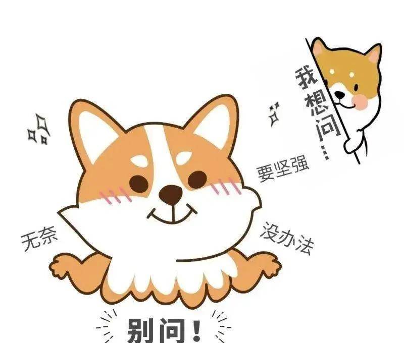 Vue 组件 v-model 等价展开、computed 和 watch 三种写法谁更优雅？