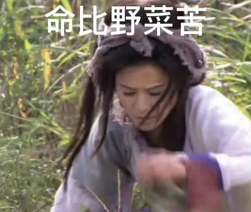 曾经的收视冠军，10年后成全网群嘲的热梗主角？别再笑了她够惨了