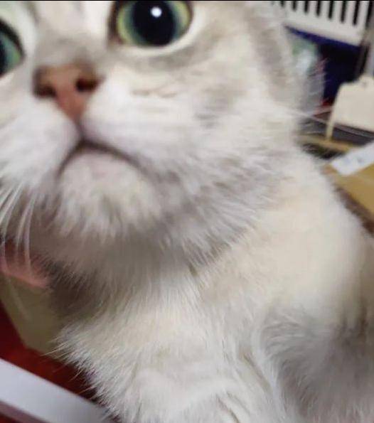 破防了，谁懂啊家人们：记一次 mysql 问题排查