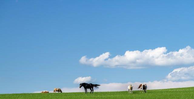 人满六十：你已经是一个“三无人员”了，余生别去折腾了