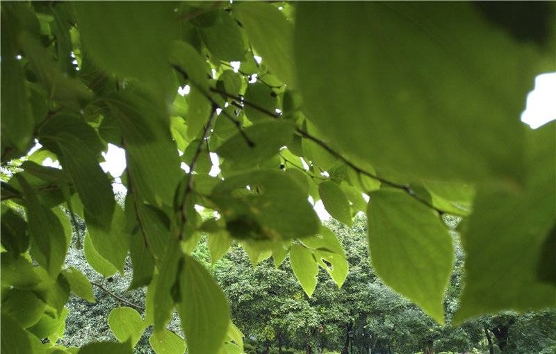 2000元能买到的最强配置：乐视·乐Max 2详细评测