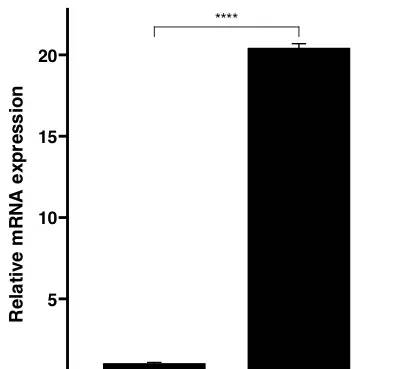 R语言处理PCR数据，一步画柱状图、添加显著性标志并实现截断