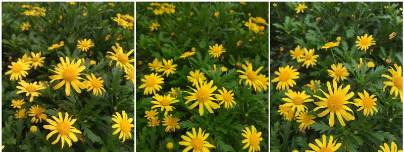 2000元能买到的最强配置：乐视·乐Max 2详细评测