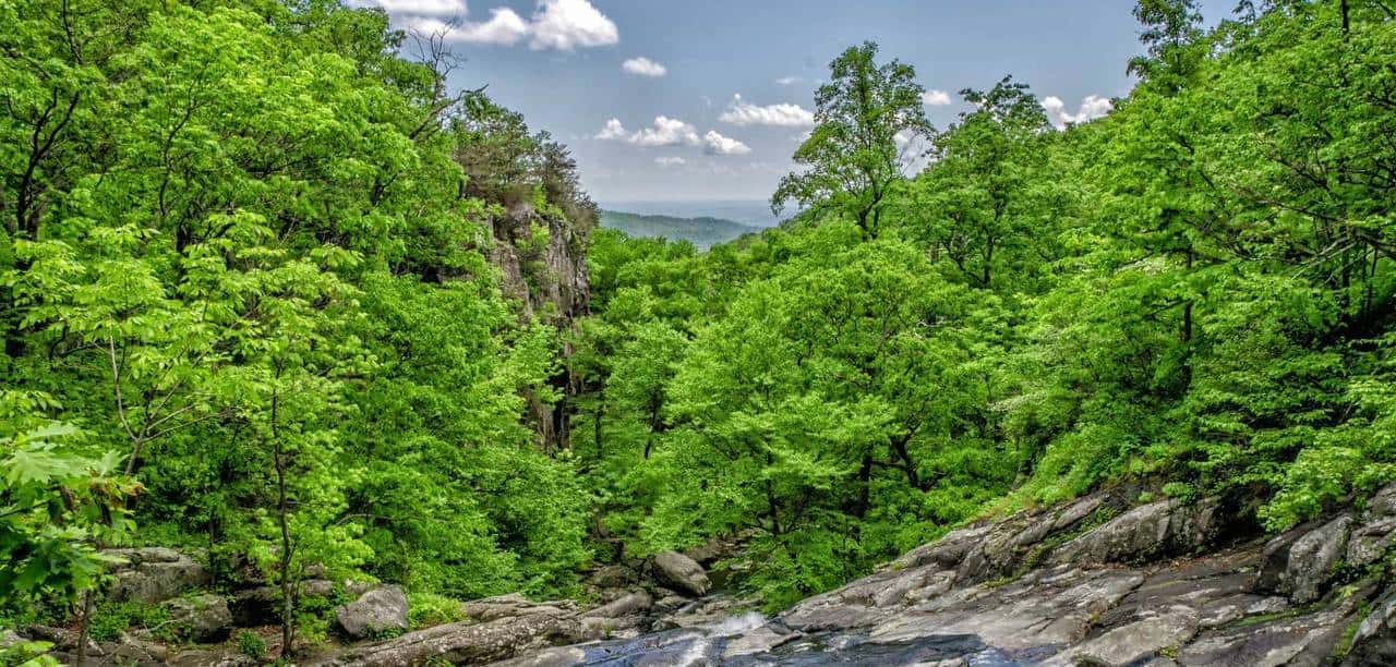 VB 编译与办公系统深度集成：打造工程造价全流程自动化工具