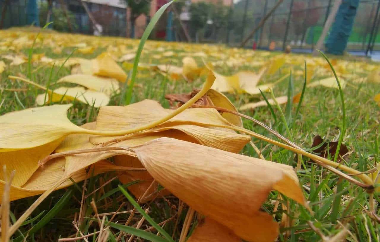 D201| 早睡早起挖金矿