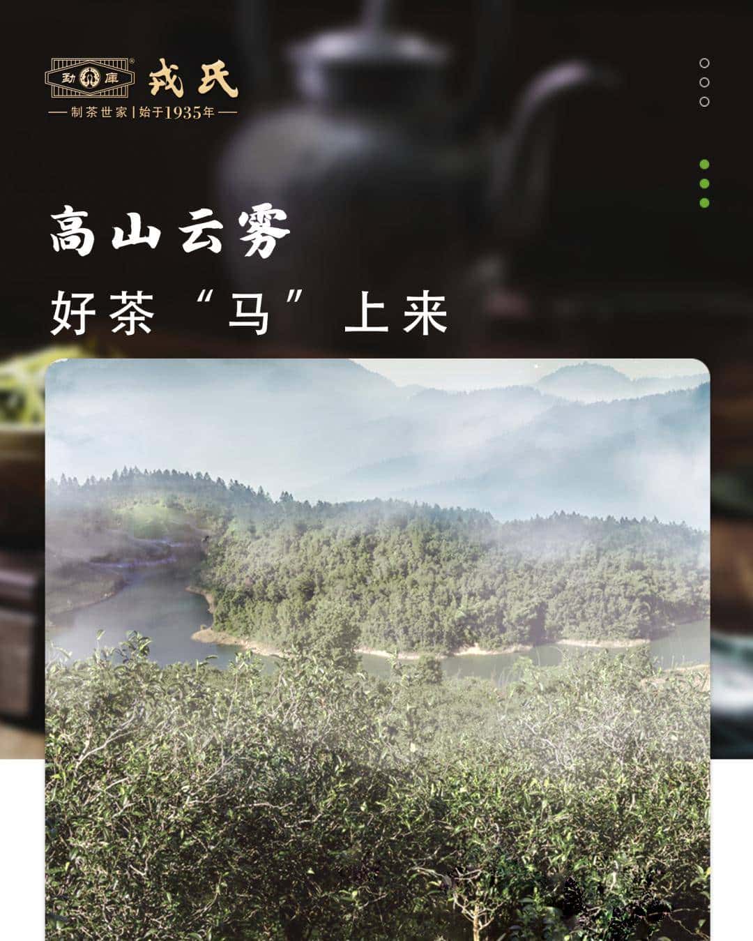 高山云雾马鞍山 岩石窝窝岩（ai）子头