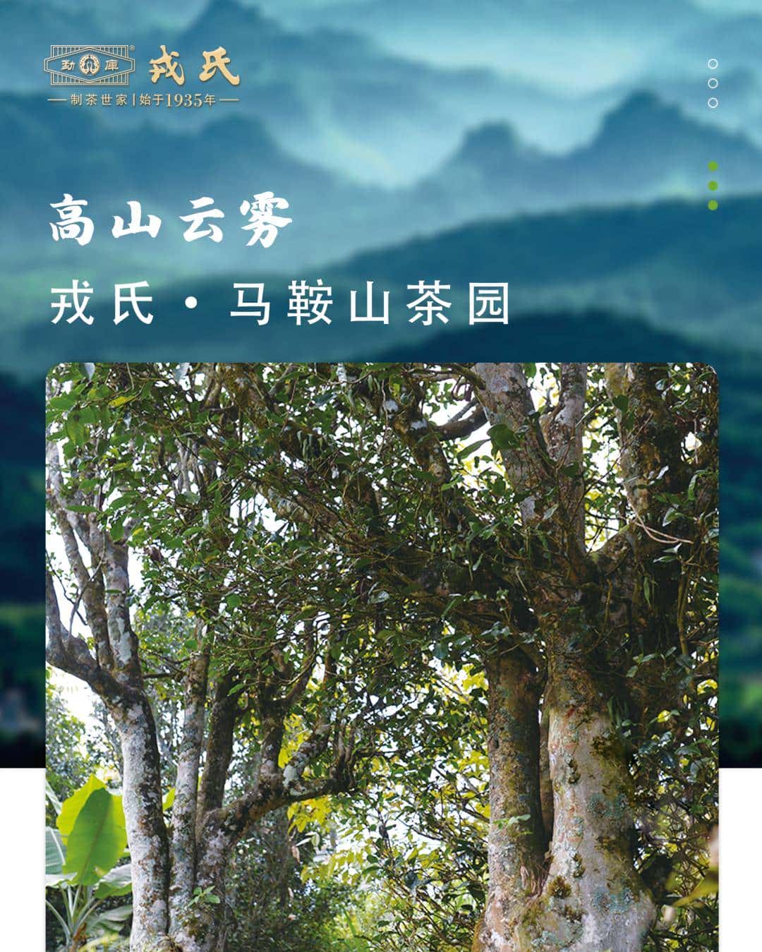 高山云雾马鞍山 岩石窝窝岩（ai）子头