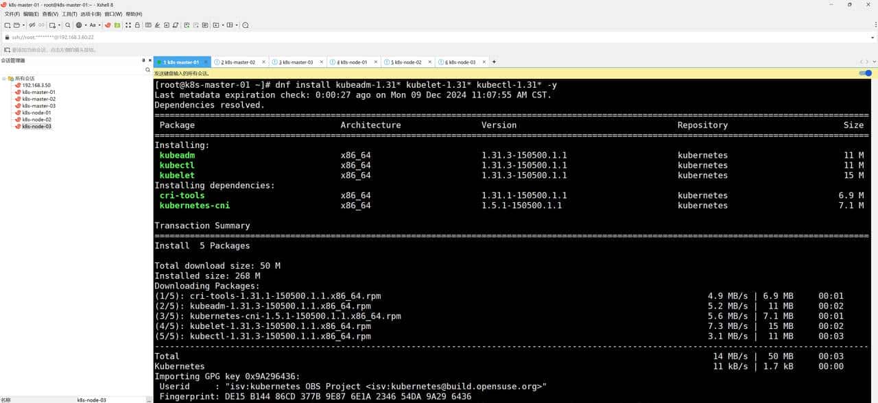 kubernetes1.31.3集群搭建（上）