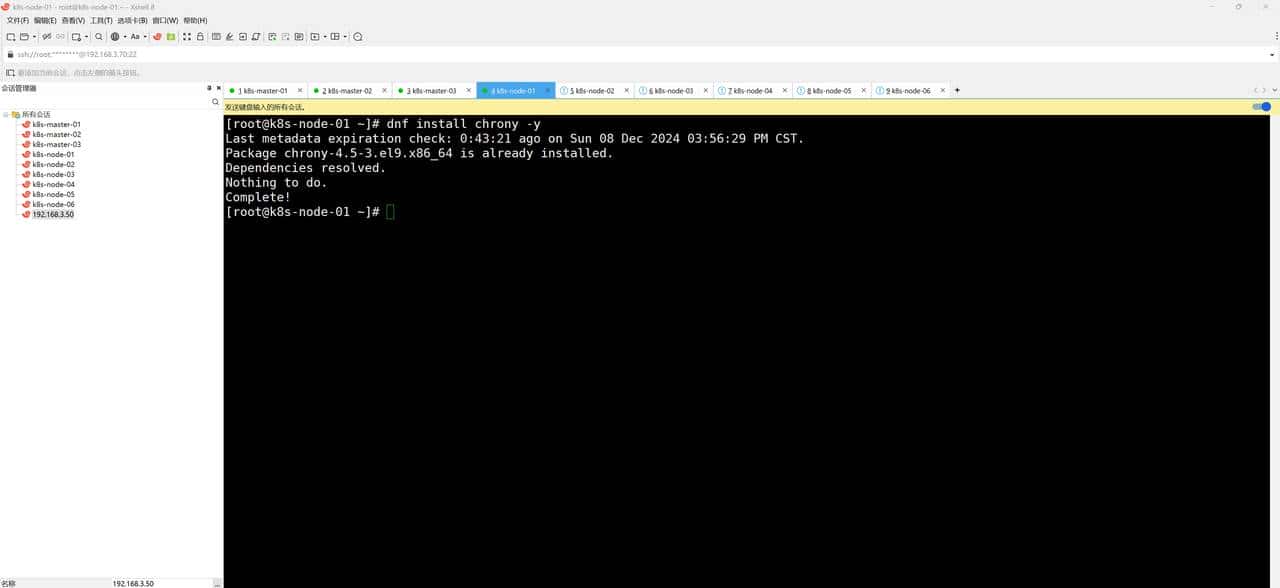 kubernetes1.31.3集群搭建（上）