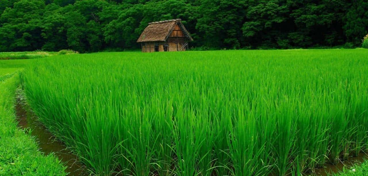 利用 Shell 脚本让网站更具可读性 | Linux 中国