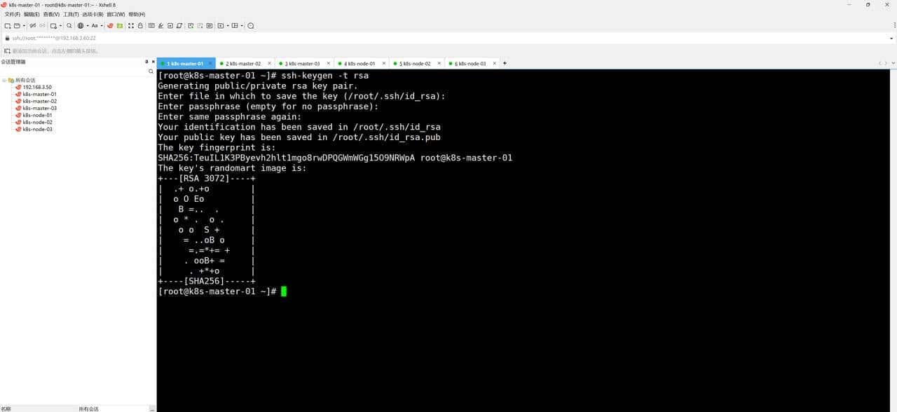 kubernetes1.31.3集群搭建（上）