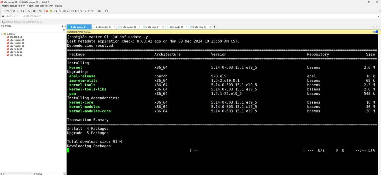 kubernetes1.31.3集群搭建（上）