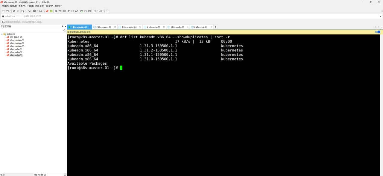 kubernetes1.31.3集群搭建（上）