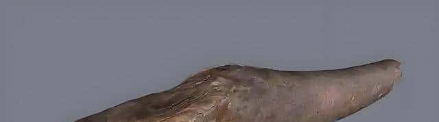 临沂——全国唯一个拥有数十万年人类无断裂的地级市