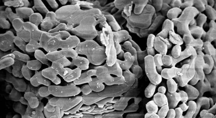 调节催化性能的α-Al2O3负载Ag颗粒，如何被控制合成