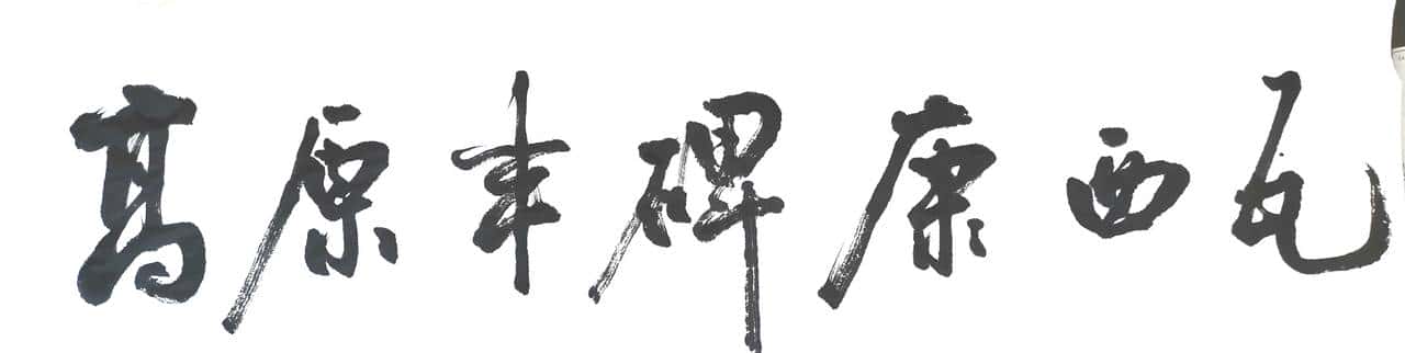 高原丰碑康西瓦