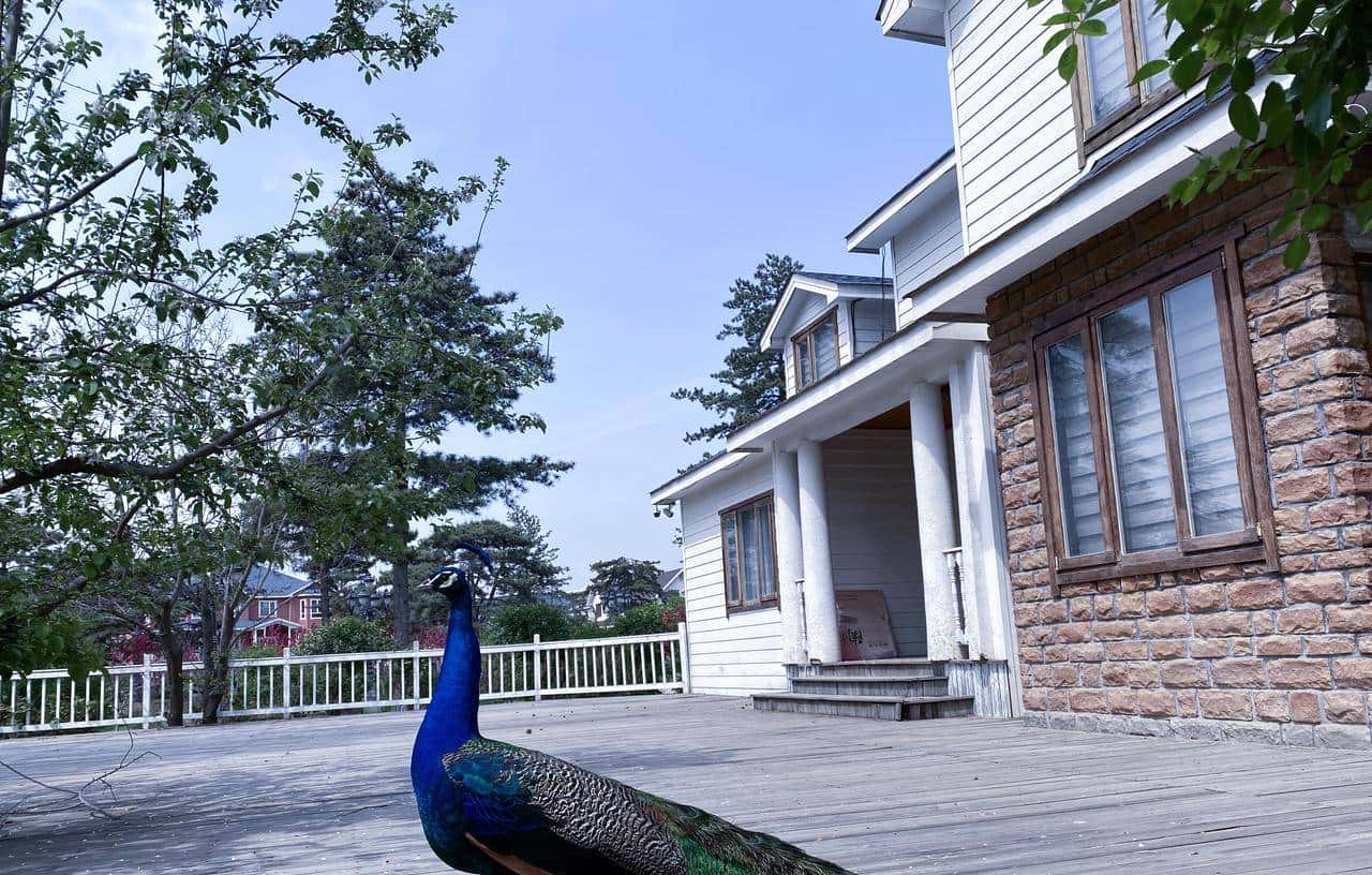 不用坐班 + 包吃住,月薪过万!普通人真能有?