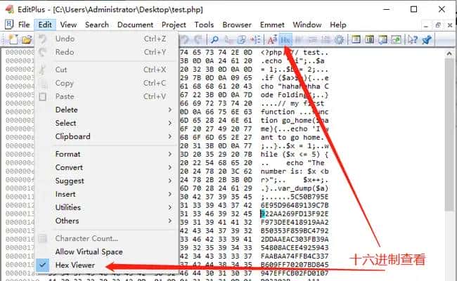 Editplus 4）实用小tips