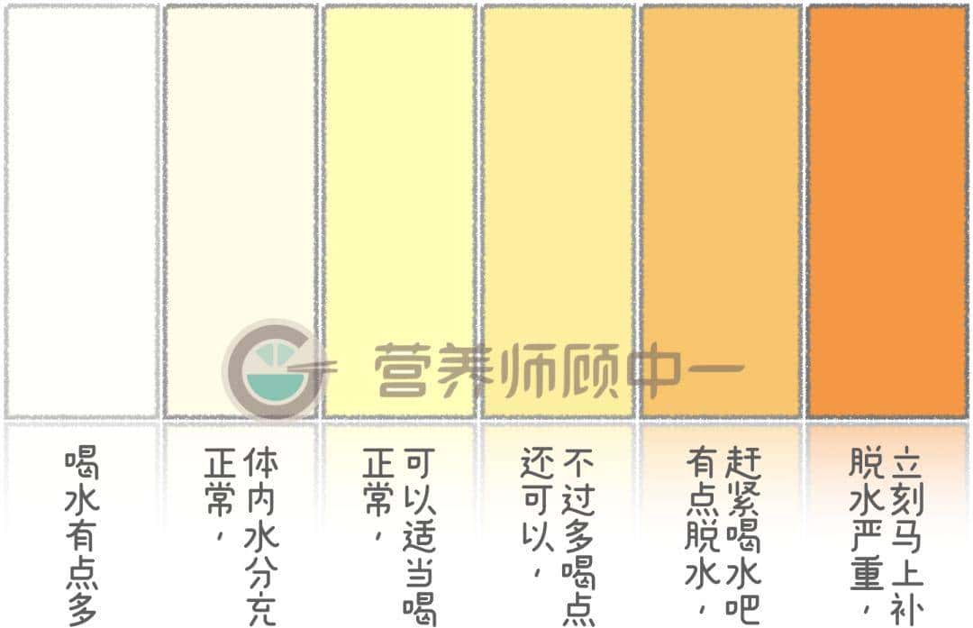 每天下午脑子像浆糊?除了没睡好,还可能是大脑“渴”了