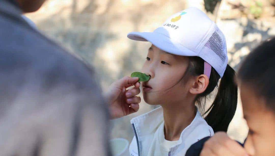 脱掉书包,奔向自然|三五锄端午营招募自然探险家啦!快来报名