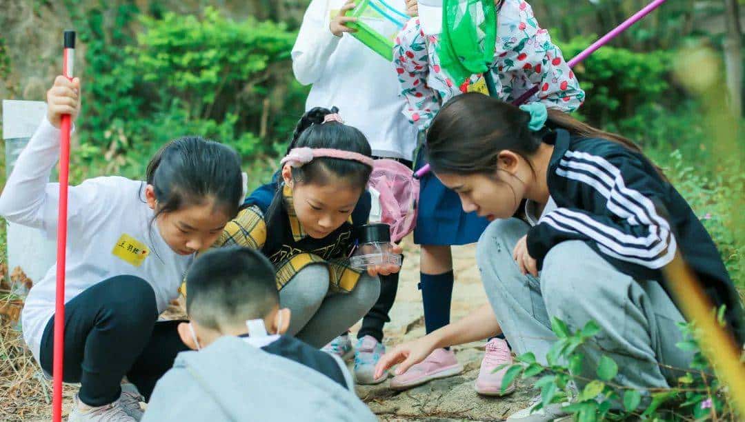 脱掉书包,奔向自然|三五锄端午营招募自然探险家啦!快来报名