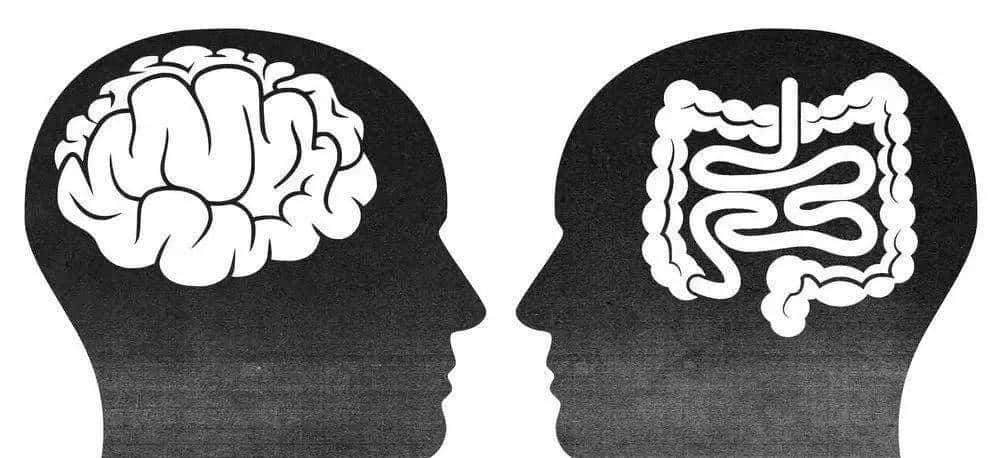 【工具三部曲 | 第一部】Evernote笔记术：有效打造你的第二大脑