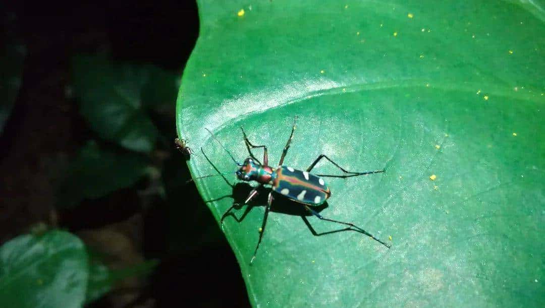 脱掉书包,奔向自然|三五锄端午营招募自然探险家啦!快来报名