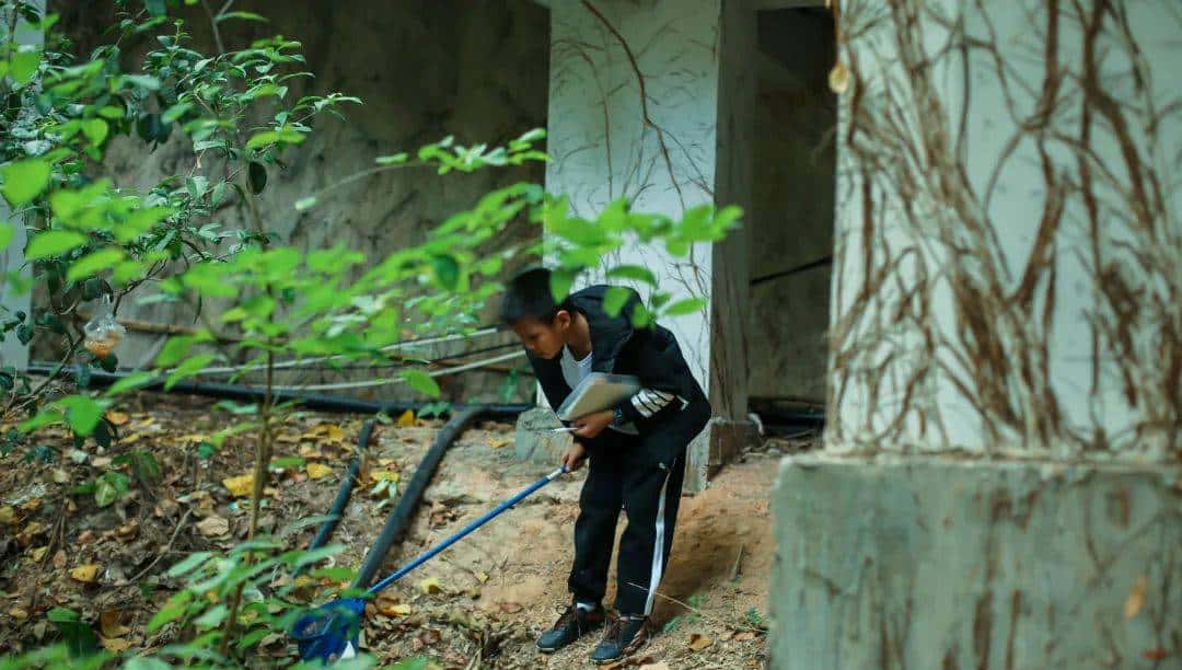 脱掉书包,奔向自然|三五锄端午营招募自然探险家啦!快来报名