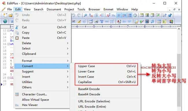 Editplus 4）实用小tips