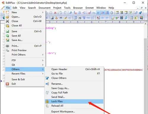 Editplus 4）实用小tips