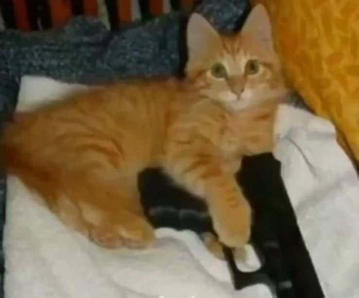 ES6扩展运算符：详解与实践