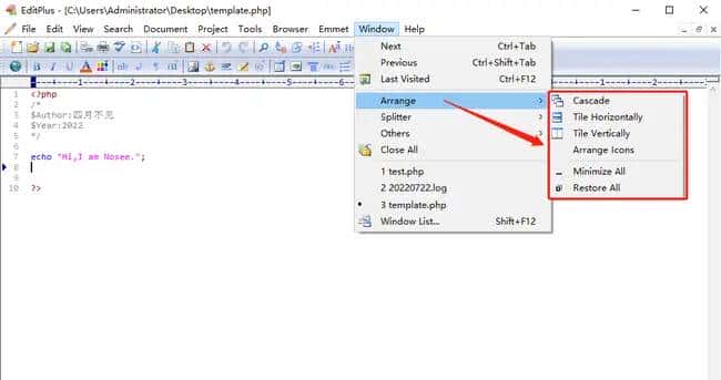 Editplus 4）实用小tips