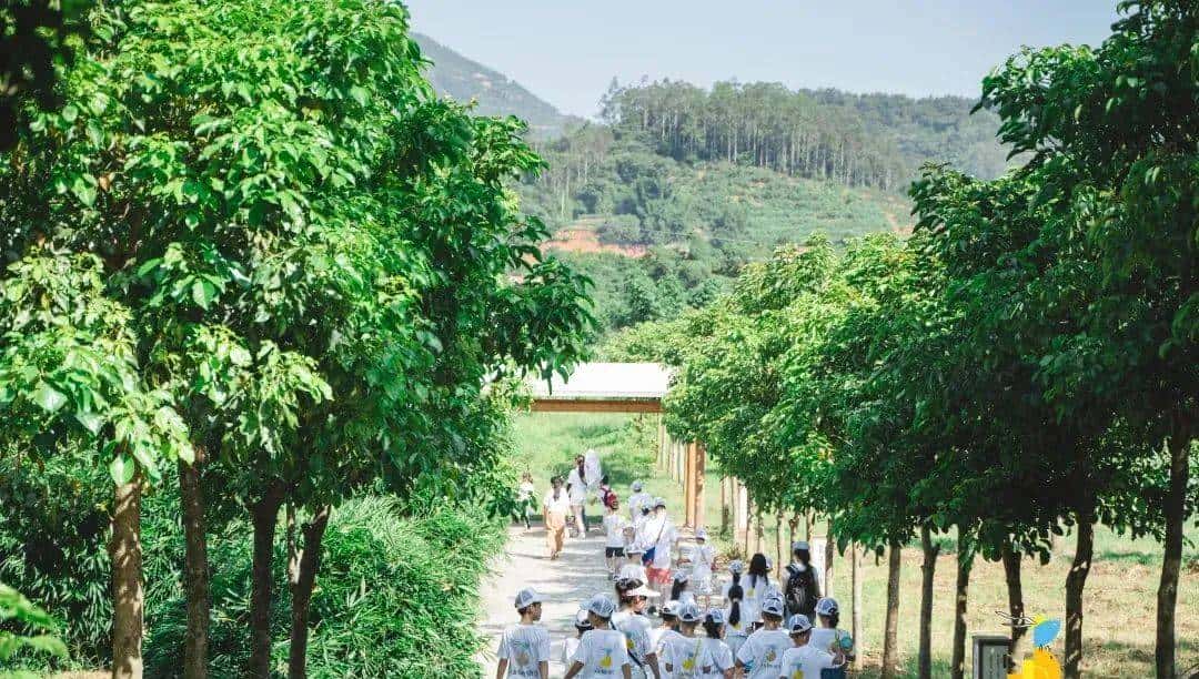 脱掉书包,奔向自然|三五锄端午营招募自然探险家啦!快来报名