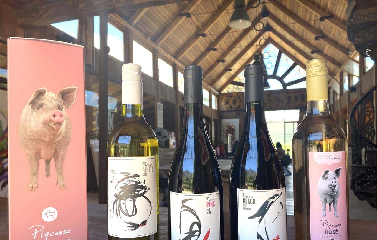 南非有一头叫猪卡索的猪，画了一幅画，卖了近17万人民币