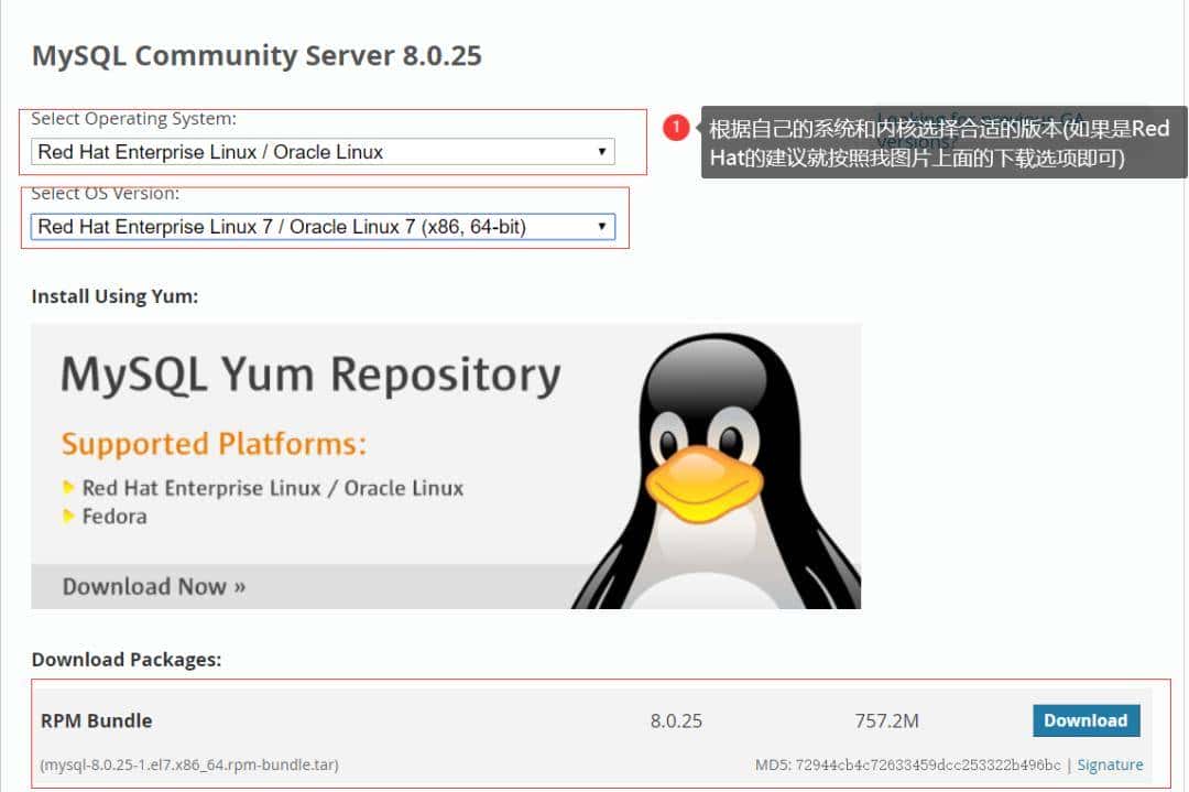 《从0到1-全面深刻理解MySQL》- 最详细MySQL安装流程(Linux环境)