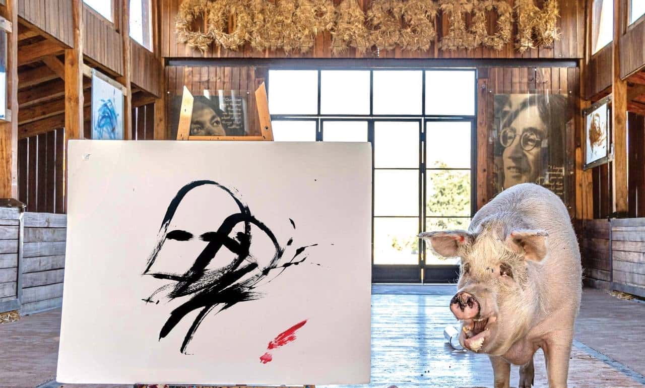 南非有一头叫猪卡索的猪，画了一幅画，卖了近17万人民币