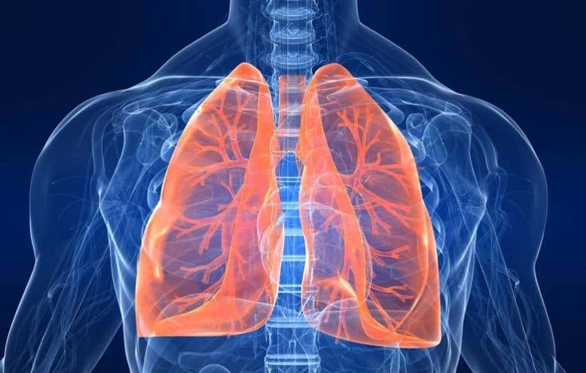 全球首例！除了心、肝、肾，猪的这个器官也成功移植给人