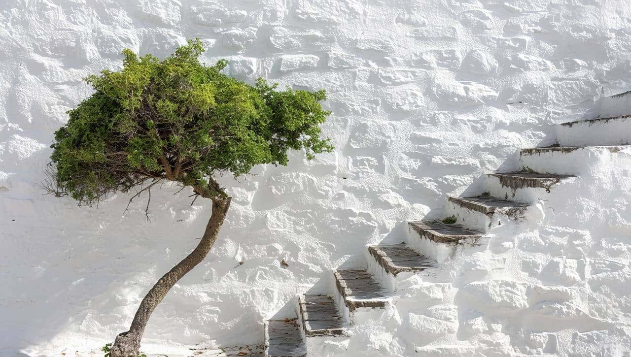 Python内置模块：pathlib模块使用教程