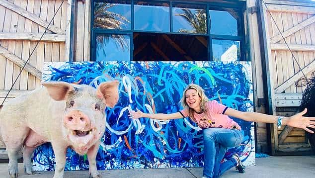 南非有一头叫猪卡索的猪，画了一幅画，卖了近17万人民币