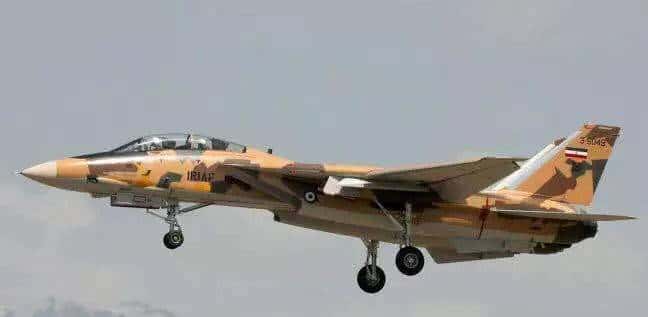 终于扒到你，F-14“雄猫”！扒一扒美国喷气式战斗机家族谱