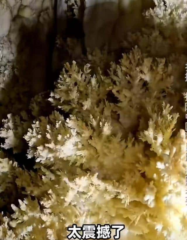 十四亿人不知道的人间仙境,石头“开花”,有谁见过?