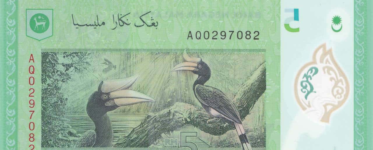 带你看看马来西亚的钞票,大红大紫的还挺好看