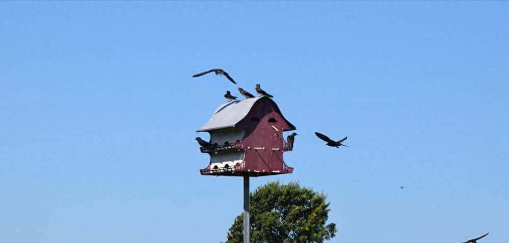 每日一篇语文阅读题，提高阅读理解能力（一年级）（60-15）