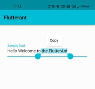 怎样编写代码实现富文本前端界面（Text)的复制/粘贴/剪切功能