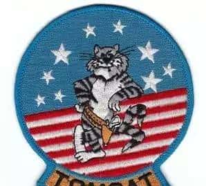 终于扒到你，F-14“雄猫”！扒一扒美国喷气式战斗机家族谱