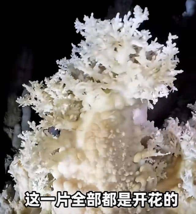 十四亿人不知道的人间仙境,石头“开花”,有谁见过?