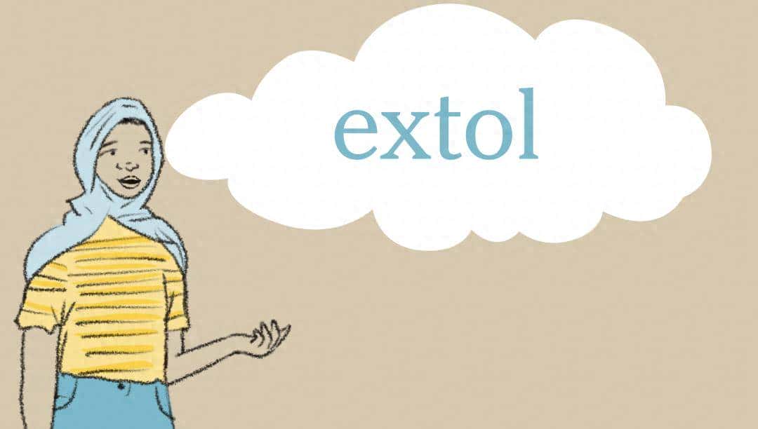 纽约时报 | 外刊每日一词 · extol